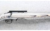 Ruger ~ American ~ .22 WMR - 3 of 12
