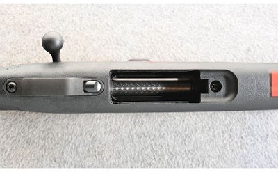 Savage Arms ~ 110 ~ .223 Rem. - Image 6 of 10