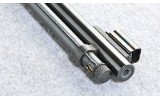 Henry ~ H001 ~ .22 LR - 5 of 10