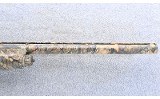 Browning ~ Gold ~ 10 Gauge - 4 of 11