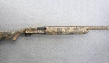 Browning ~ Gold ~ 10 Gauge - 1 of 11