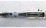 Browning ~ Gold ~ 10 Gauge - 6 of 11