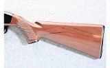 Remington ~ Nylon 66 ~ .22 LR - 9 of 10