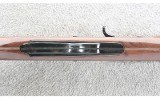 Remington ~ Nylon 66 ~ .22 LR - 6 of 10
