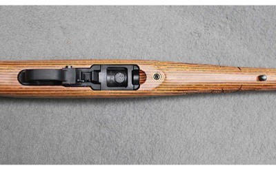 Ruger ~ 10/22 Bengal Tiger ~ .22 Long Rifle - Image 3 of 7