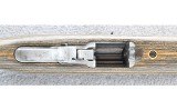 Ruger ~ 10/22 Carbine ~ .22 LR - 6 of 10