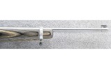 Ruger ~ 10/22 Carbine ~ .22 LR - 4 of 10