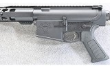 Palmetto State Armory ~ G3-10 ~ .308 Win. - 8 of 10