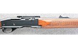 Remington ~ 742 ~ .243 Win. - 3 of 10