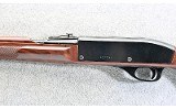Remington ~ Nylon 66 ~ .22 LR - 8 of 10