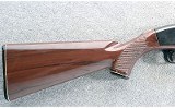 Remington ~ Nylon 66 ~ .22 LR - 2 of 10