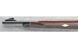 Remington ~ Nylon 66 ~ .22 LR - 7 of 10