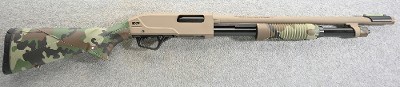 Winchester ~ SXP ~ 20 Gauge - Image 1 of 10