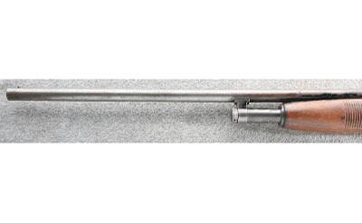 Mossberg ~ 500C ~ 20 Gauge - Image 7 of 10