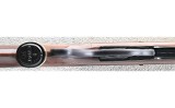 Remington ~ Nylon 76 ~ .22 LR - Image 6 of 10