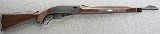 Remington ~ Nylon 76 ~ .22 LR - Image 1 of 10