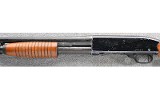Winchester ~ 120 ~ 20 Gauge - Image 8 of 10