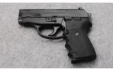 Sig Sauer P239 in .357 SIG - 3 of 3