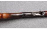 Browning Auto-5 Shotgun, Belgian, in 16 Gauge - 5 of 8