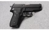 Sig Sauer P229 Pistol in .40 S&W - 2 of 3