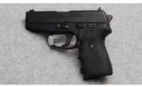 Sig Sauer P239 Pistol in .40 S&W - 3 of 3