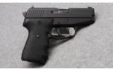 Sig Sauer P239 Pistol in .40 S&W - 2 of 3