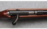 Anschutz Model 1517 Rifle in .17 HMR - 6 of 9