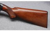 Winchester Model 12 Shotgun in 12 Gauge - 8 of 9