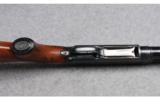 Winchester Model 12 Shotgun in 12 Gauge - 5 of 9