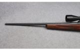 Kimber 84M Classic Rifle in .243 Winchester - 6 of 9