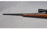 Ruger M77 Hawkeye Rifle in .223 Remington - 6 of 9