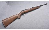 Daisy V/L Rifle in .22 Caseless - 1 of 9