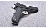 Sig Sauer 1911 Carry Nightmare~.45 ACP - 2 of 4