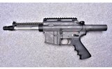Bushmaster Carbon-15 pistol~5.56 NATO - 3 of 4