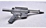 Bushmaster Carbon-15 pistol~5.56 NATO - 1 of 4