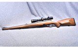 Steyr Mannlicher CLII~ .243 Winchester - 5 of 9