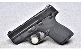 Smith & Wesson M&P9 Shield Plus~9 mm