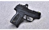 Ruger Max-9~9MM - 1 of 4