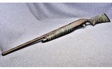 Pointer Phenoma Midnight Bronze~12 Gauge - 1 of 8