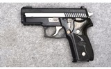 Sig Sauer P229 Equinox~.40 S & W - 3 of 4