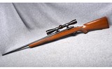 Sturm Ruger & Co. Inc. M77~.243 Winchester