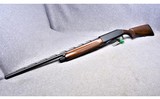 Stoeger M3500~12 Gauge