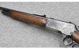 Winchester 71~ .348 Winchester - 7 of 8