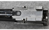 Renato Gamba~ 12 Gauge - 12 of 12