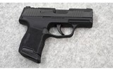 Sig Sauer P365~ 9mm