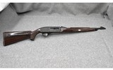 Remington Nylon 66~ .22 Long Rifle - 1 of 6