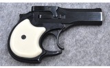 High Standard DM-101 Derringer~ .22 WMR - 1 of 2
