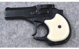High Standard DM-101 Derringer~ .22 WMR - 2 of 2