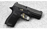 Sig Sauer P320~9MM - 1 of 2