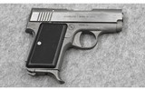 AMT~ Back Up~ .380 ACP - 1 of 2